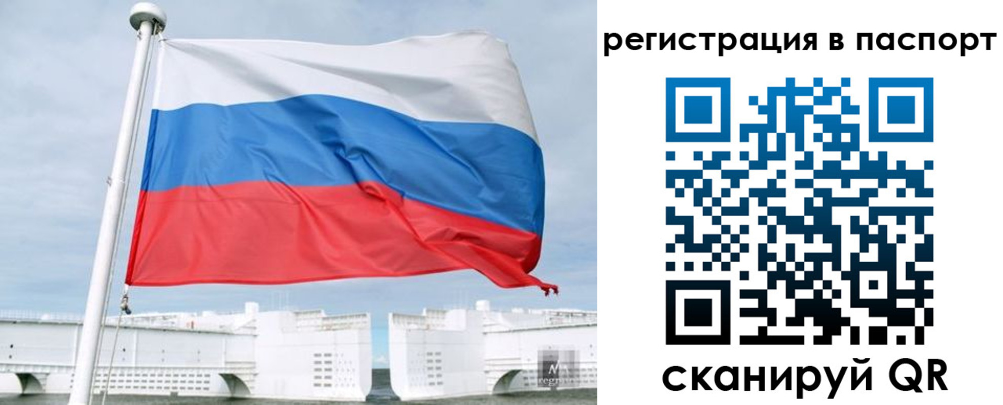 регистрация в Нелидово
